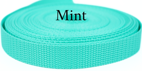 Gurtband Mint
