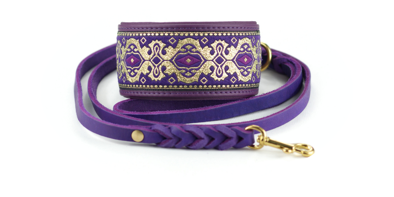 Windhundhalsband in Lila mit passender Fettlederleine